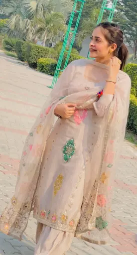 Punjabi suit